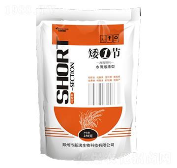 ��1��(ji��)-����