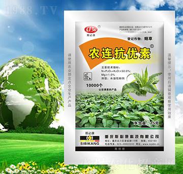 �������r(n��ng)�B����(y��u)��-˹�ؿ�