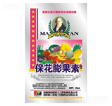 ���������-�»�