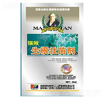 �����������焩-�»�