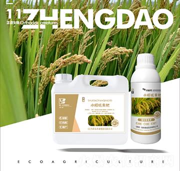 ˮ�������-��������