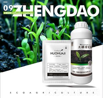 �������-��������