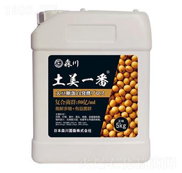 ����һ�������;���-ɭ��-����