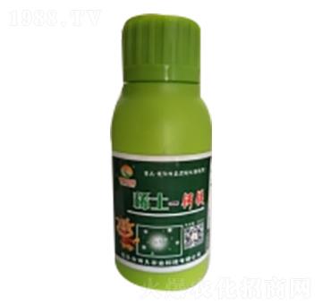 ϡ���}�V-�ɰ����r