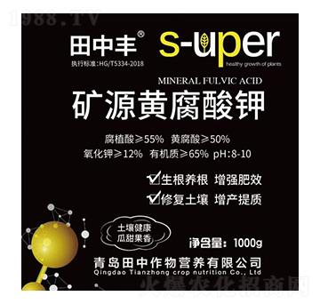 �VԴ�S�����-��������