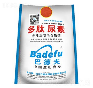 ��������-��˹��