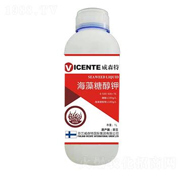 �����Ǵ��-���ֺ�