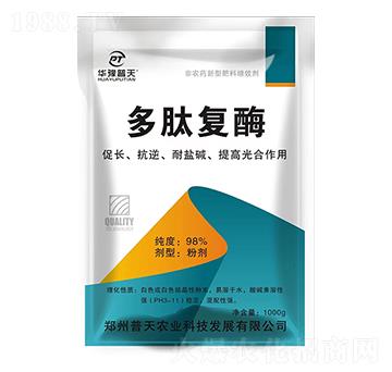 ���ď�ø-�����r�I(y��)