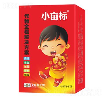 ȫ�̽�Q����-С����