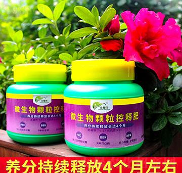 ΢�����w����ጷ�-������