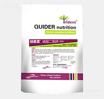 ��������-�T����-��������