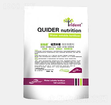 ΢�������-��ʩ��-��������