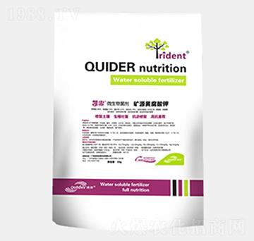 �VԴ�S�����-���ÄP��-��������