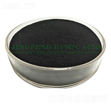 14%-16%���徫��