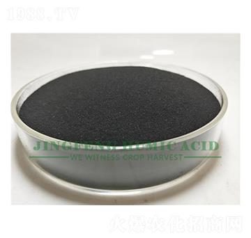 �S��ֲ��⛷�-���S��ֲ