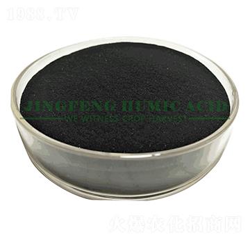 ��ˮ�ܸ�ֲ����|(zh��)��ĩ-���S��ֲ��