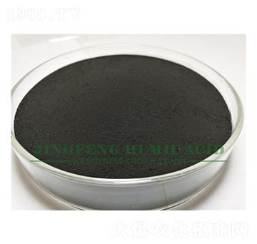 ��ֲ���ĩ-���S��ֲ��