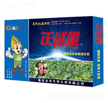 ������ľ�����������L��