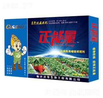 ��ݮ���ÿ�����������{(di��o)