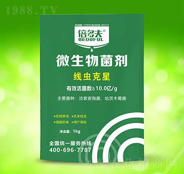 ���x����-�����