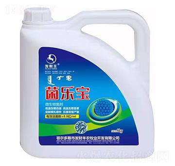 ΢�������-������-�l(f��)ؔ(c��i)��