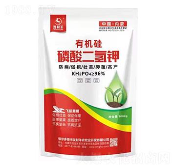 �ЙC(j��)����������-�l(f��)ؔ��