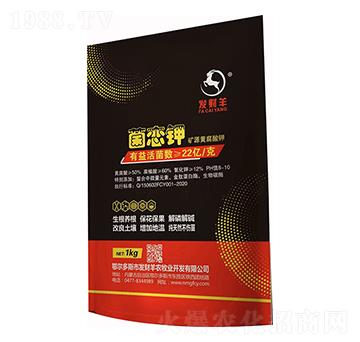 �VԴ�S�����-�����-�l(f��)ؔ��