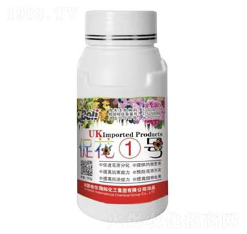 �ٻ�1̖-Ӣ������-�տ���