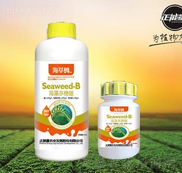 ���������-����ķ-��