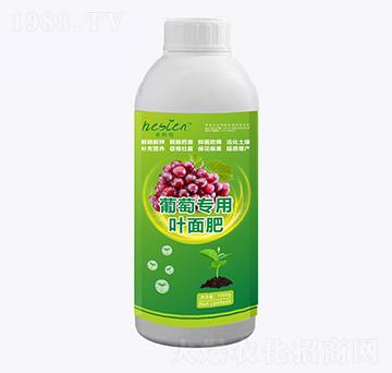 ���ь����~���-ϣ˹��