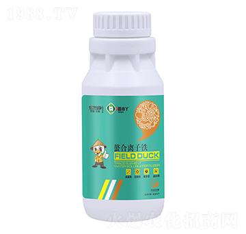 �����x���F-��СѾ-�_(k��i)������