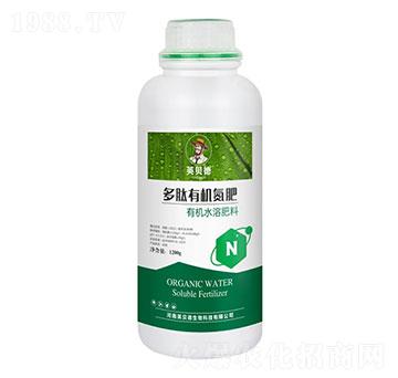 �����ЙC(j��)����-Ӣؐ��