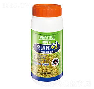 �߻��Թ�-����