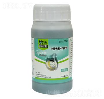 �Ǵ��V-�꾧��