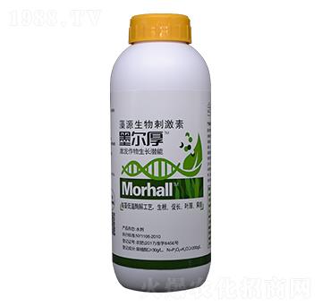 ī������Դ����̼���-�꾧��