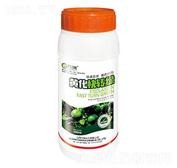 �S�����D�G-����