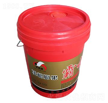 �ָ�������а�-�A���r(n��ng)