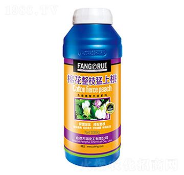 �޻���֦������-����