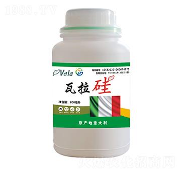 ������-��ϲ������