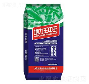 ����������-�����S