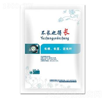 ���LҲ���L-�h�滯��