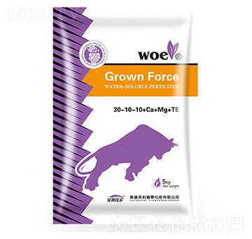 ����Ԫ��ˮ�ܷ���30-10-10+Ca+Mg+Te-�֠�