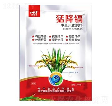 ����Ԫ�ط���-�ͽ��k-�����S