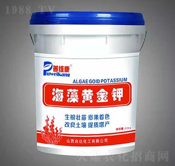 �����S���-�վS��-�_�_�ʘI(y��)