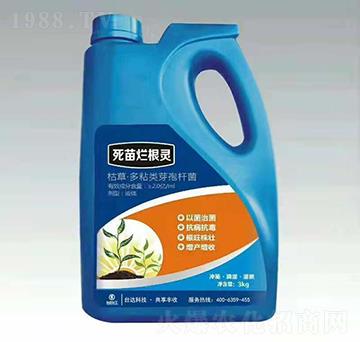 ���砀���`-�_�_�ʘI(y��)