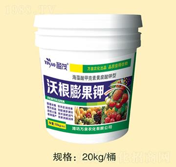 �ָ�����-�fȪ�r(n��ng)��