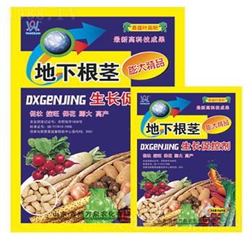 ���¸��o���L(zh��ng)�ٿ؄�-�f(w��n)Ȫ�r(n��ng)��