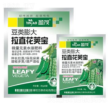 ��������ֱ���v��-�f(w��n)Ȫ�r(n��ng)��