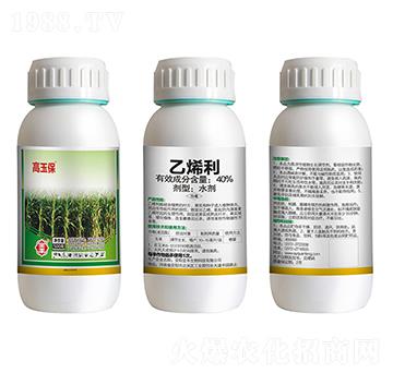 20g��ϩ��-����-ȫ�S