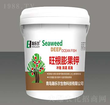 ��������-嫘���